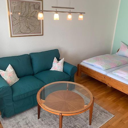 Haemmerle Fewo Holiday Apartment - Green Констанц Экстерьер фото