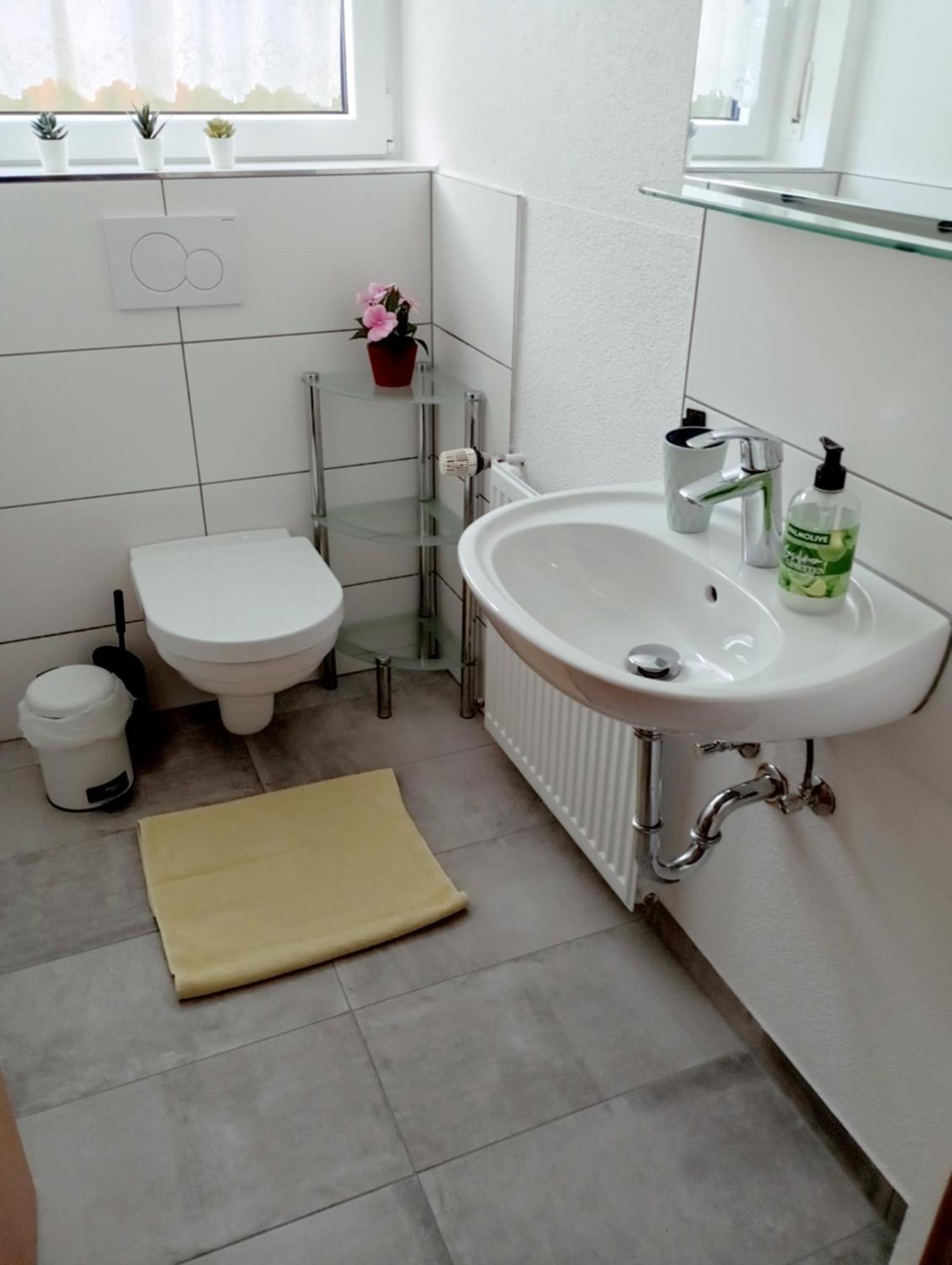Haemmerle Fewo Holiday Apartment - Green Констанц Экстерьер фото